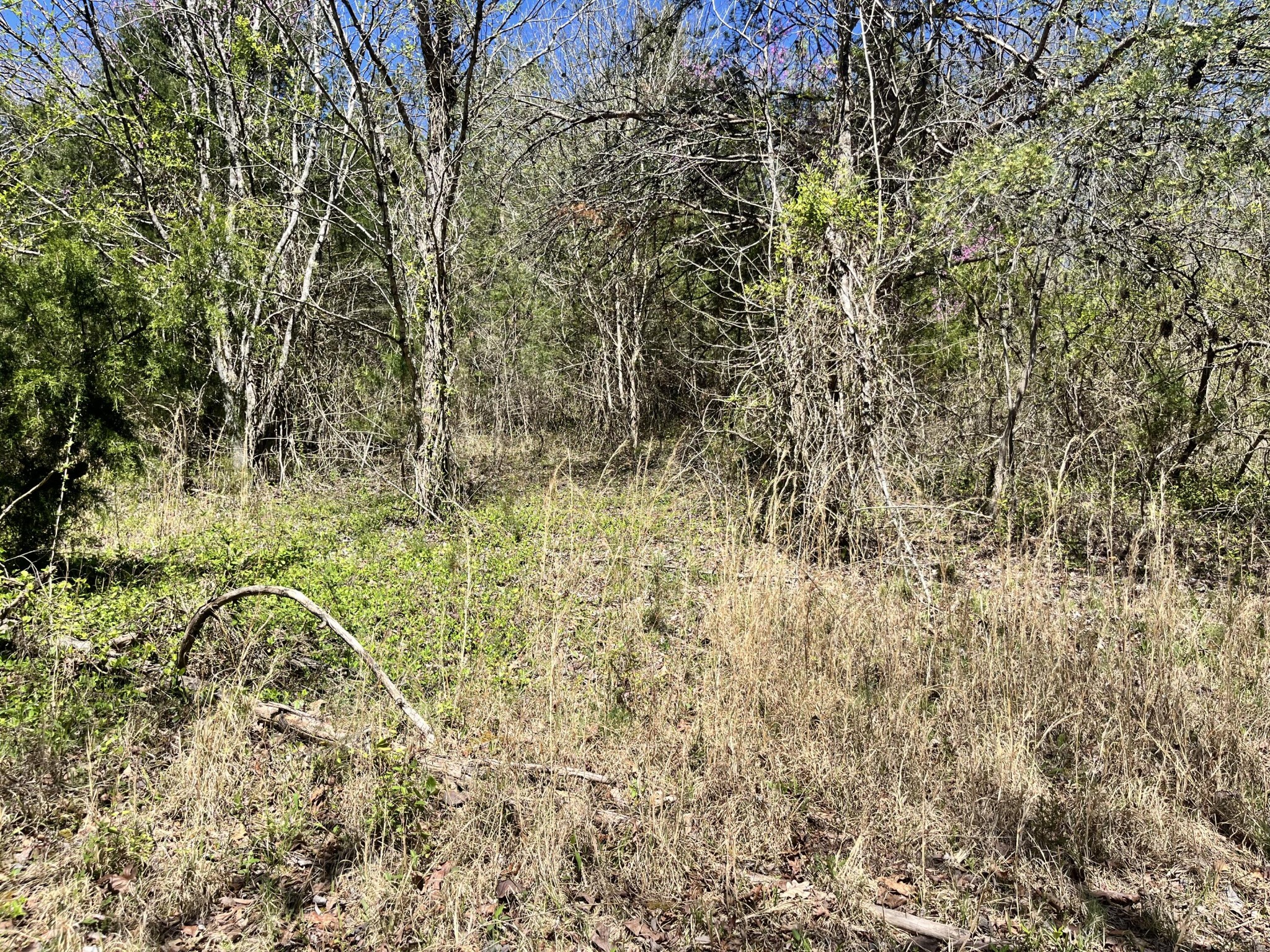 19 Caughron Mountain Road Sevierville, TN 37876 - Photo 13 of 16