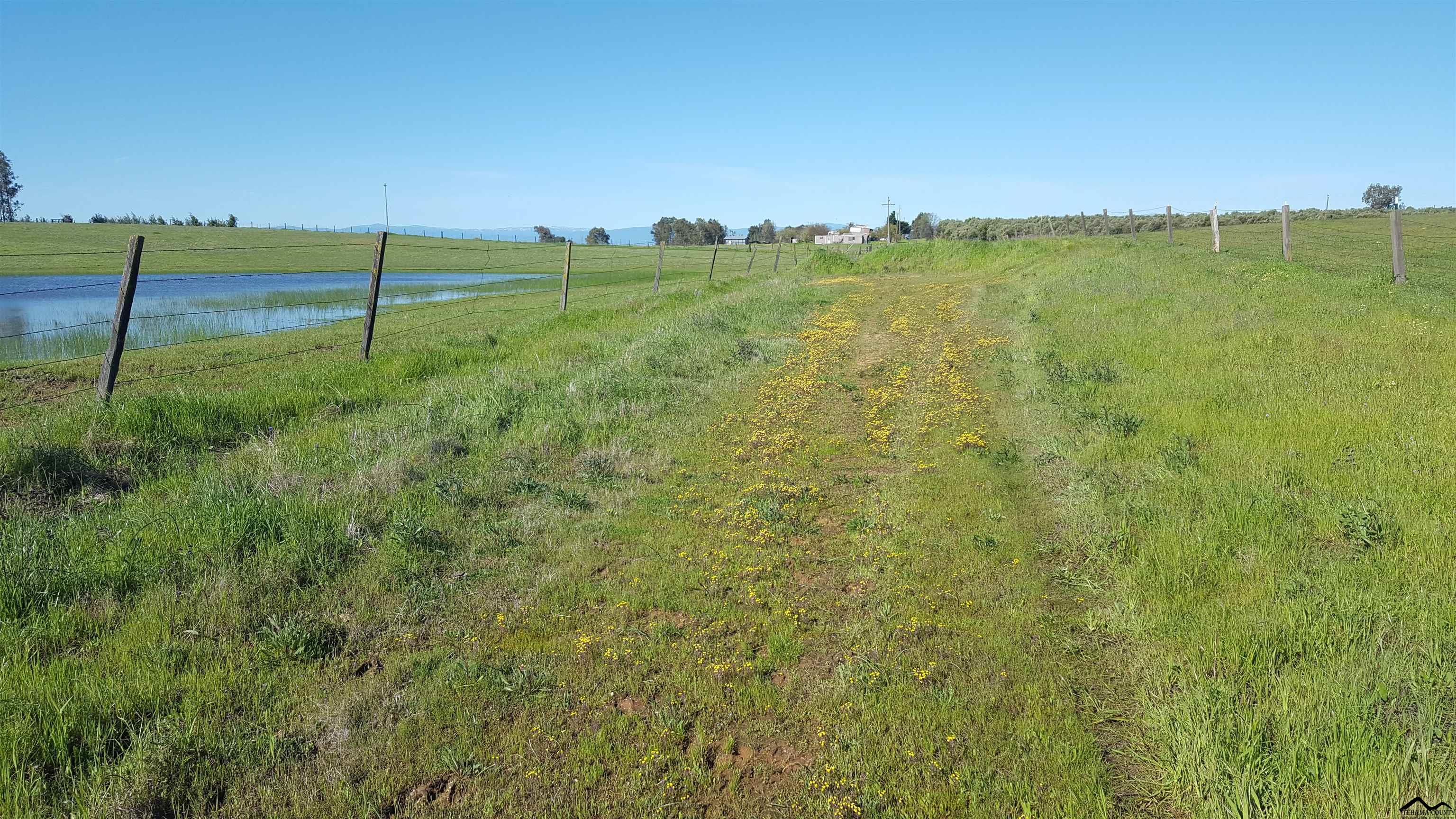 0 Unassigned Street Name, Unit CATTLE DRIVE ROAD Corning, CA 96021 - Photo 7 of 23