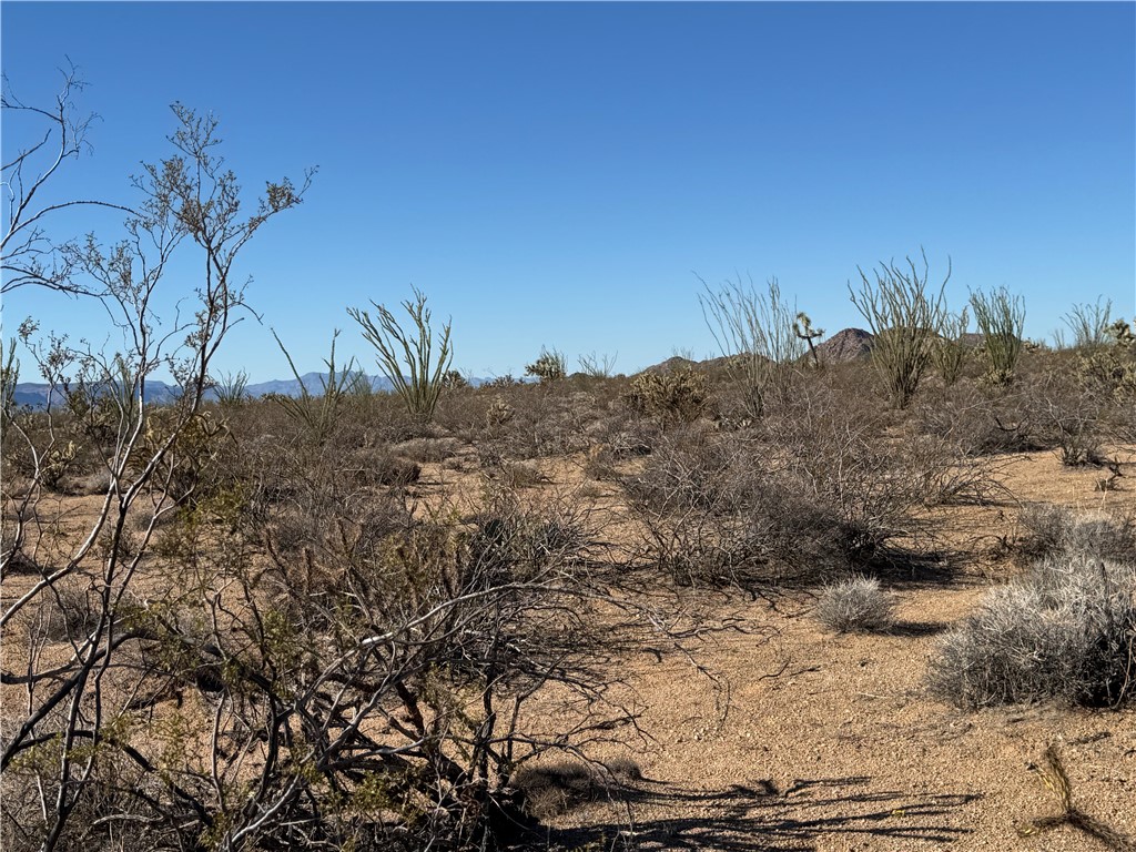 242-12-013 South Sundance Kid Road Yucca, AZ 86438 - Photo 8 of 17