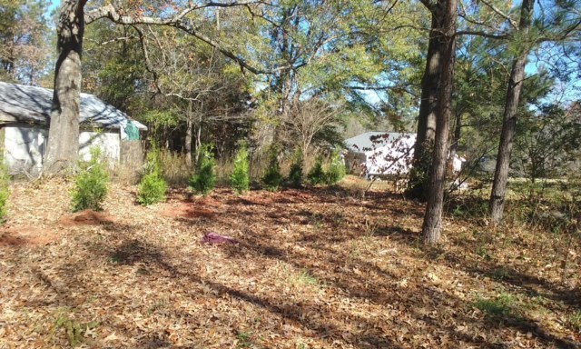 818 Fish Camp Road Chesnee, SC 29323 - Photo 11 of 11