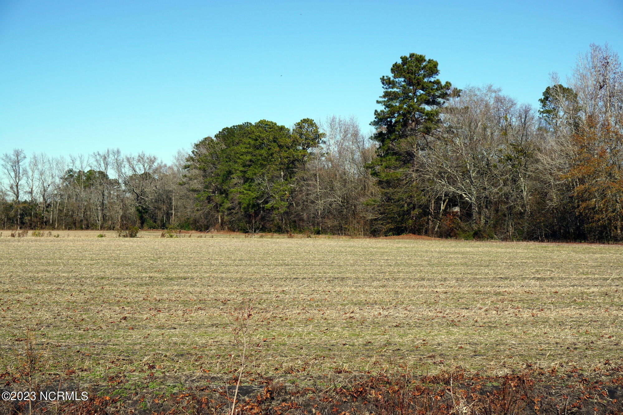 125 Gladys Street Dover, NC 28526 - Photo 4 of 6 GLADYS 125 007