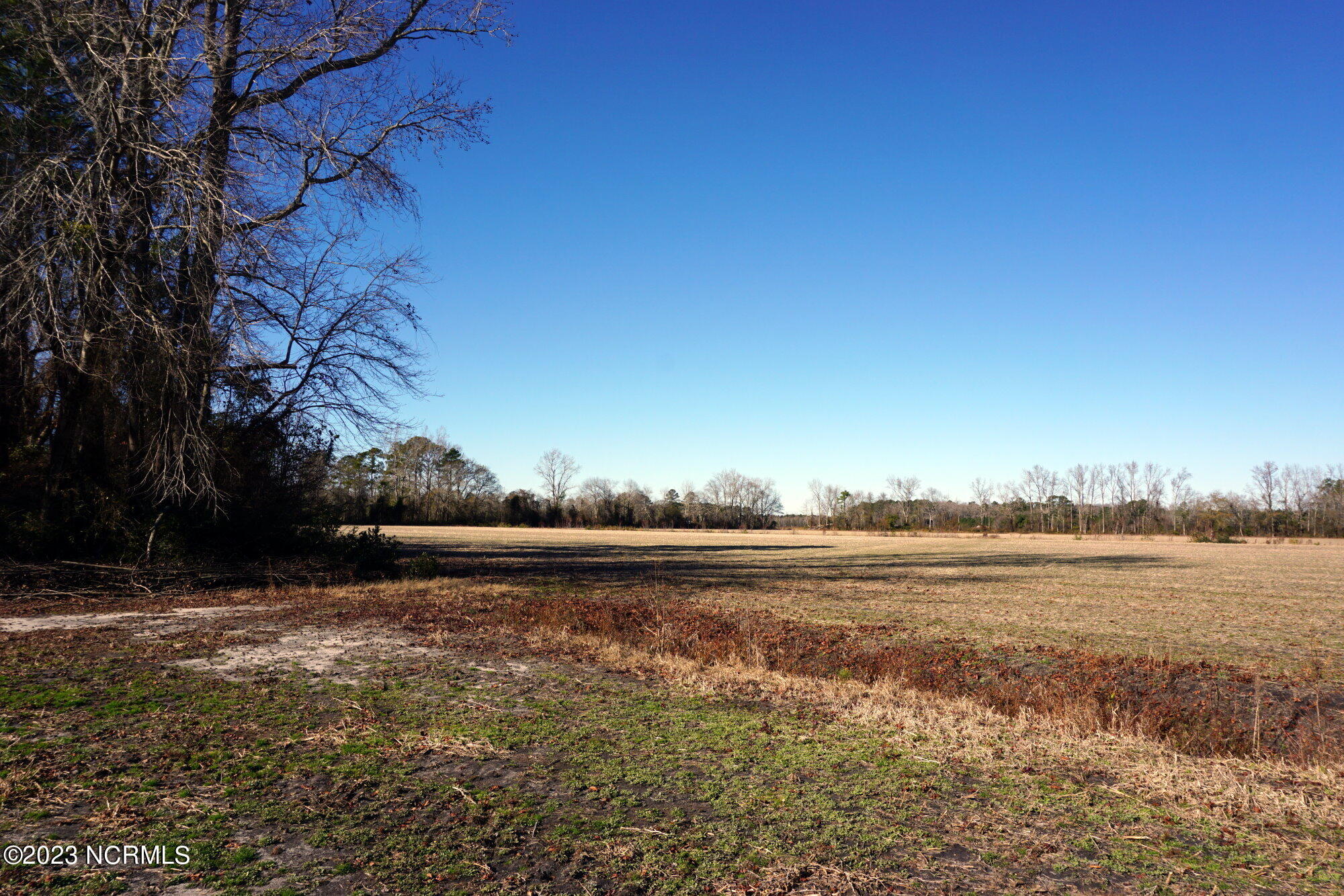 125 Gladys Street Dover, NC 28526 - Photo 5 of 6 GLADYS 125 004