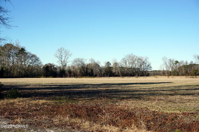 $449,500 | 125 Gladys Street, Dover, NC 28526