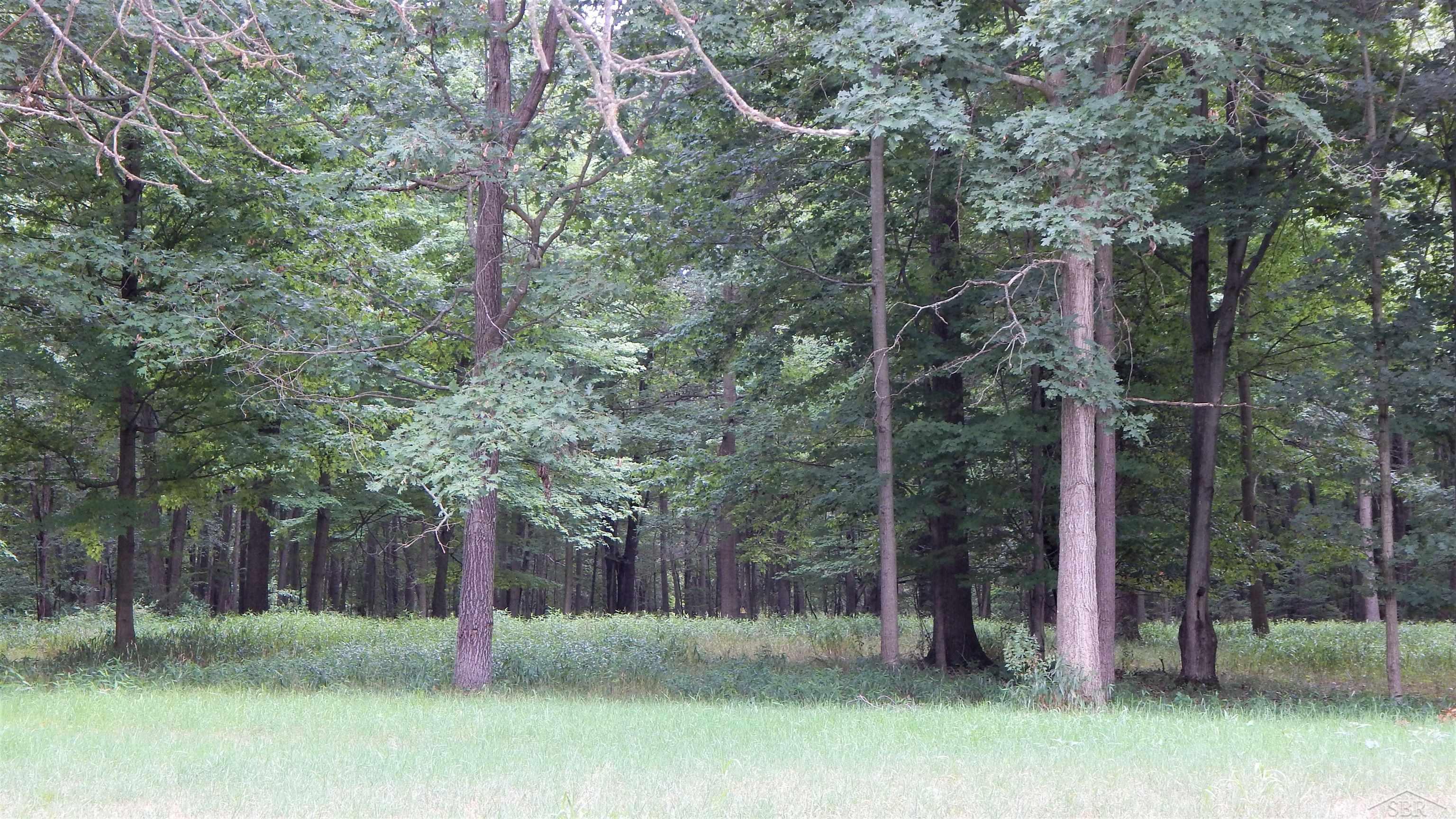 18665 Colvin Road St. Charles, MI 48655 - Photo 20 of 22