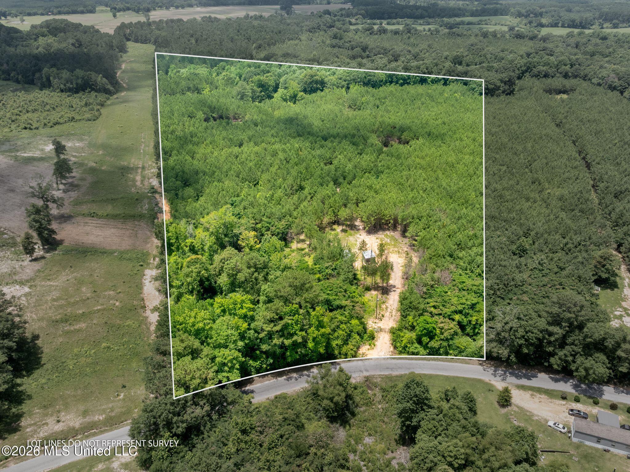 31-acres Ridgeland Road Bassfield, MS 39421 - Photo 22 of 27 85_Ridgeland_Rd-22