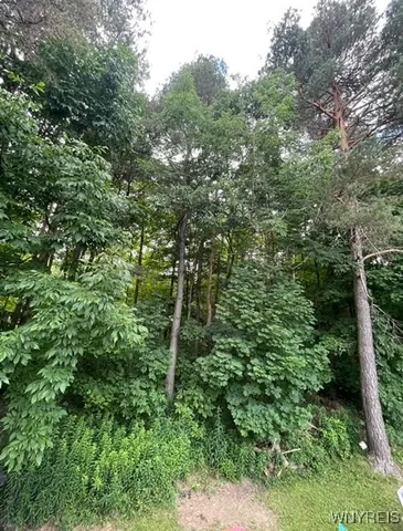 $399,999 | 7780 Irish Hill Road, Ellicottville, NY 14171