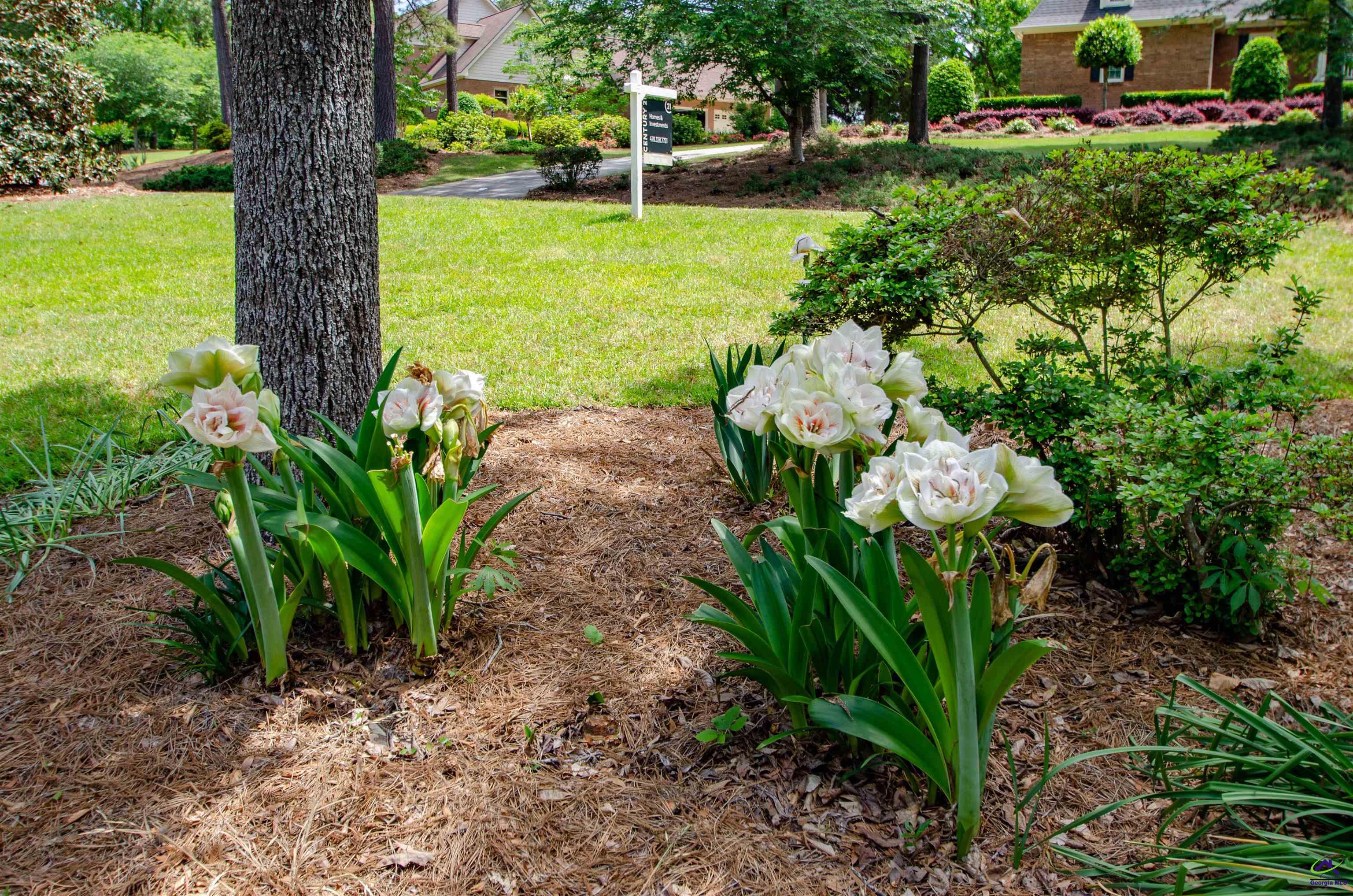 110 Holly Drive Warner Robins, GA 31088 - Photo 4 of 80