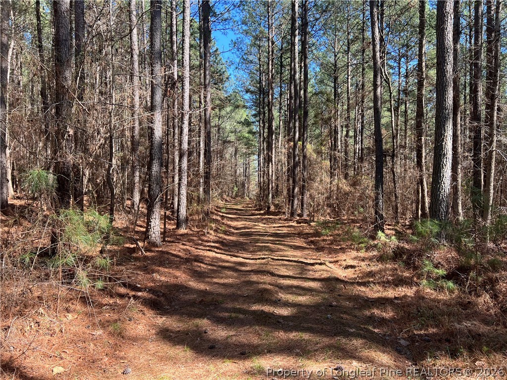0 Tempting Church Road Sanford, NC 27330 - Photo 2 of 4 a view of outdoor space with water view