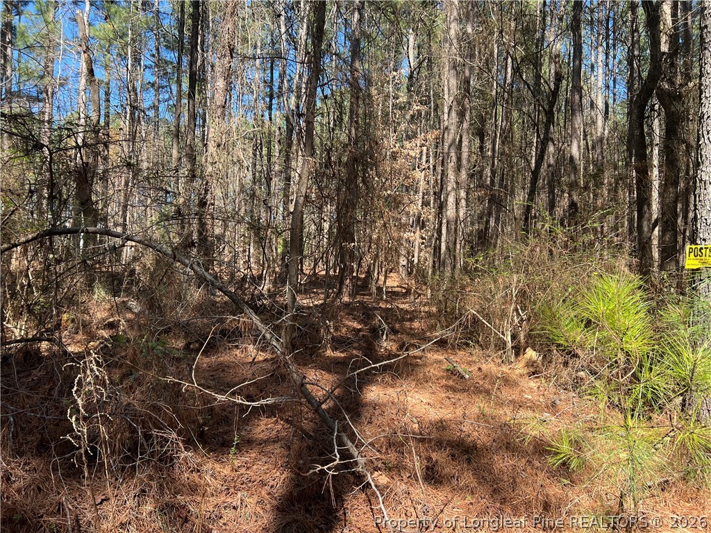 0 Tempting Church Road Sanford, NC 27330 - Photo 3 of 4 a view of outdoor space