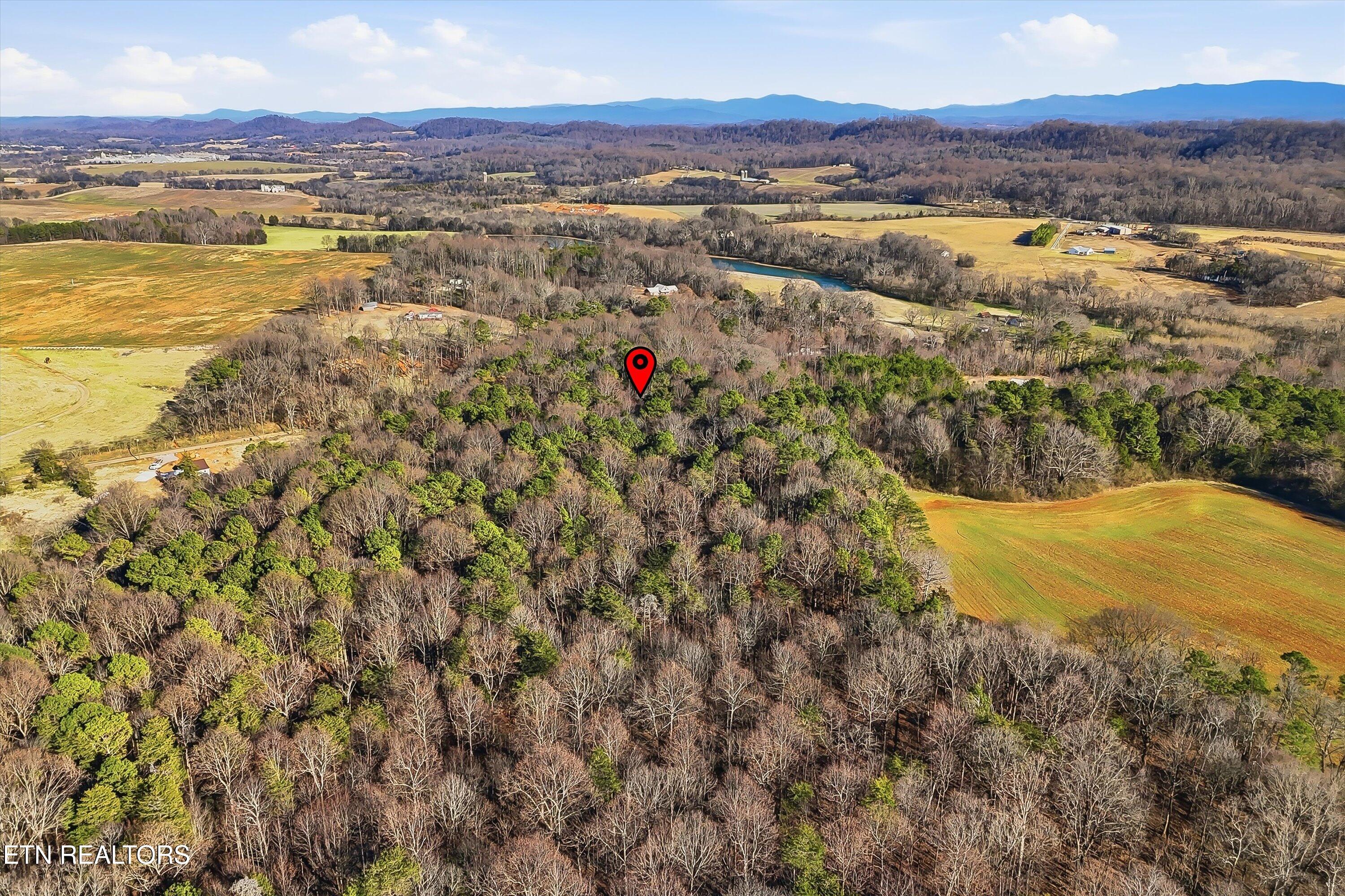 Randolph Fridley Road Sweetwater, TN 37874 - Photo 6 of 13 09-Randolph Fridley Rd-9