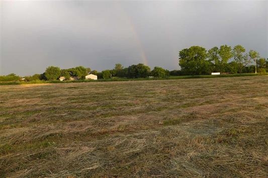 Lot 3 Coon Hunters Road Blue Grass, IA 52726 - Photo 2 of 5 Gallery Image 2