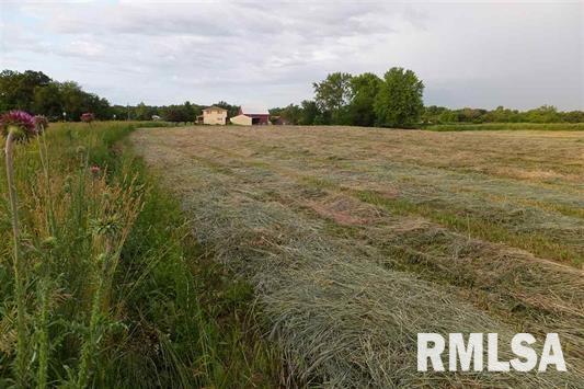 Lot 3 Coon Hunters Road Blue Grass, IA 52726 - Photo 3 of 5 Gallery Image 3