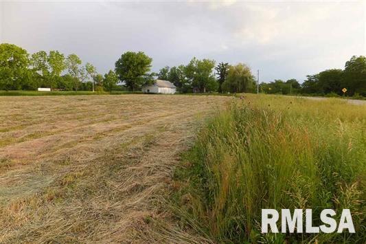 Lot 3 Coon Hunters Road Blue Grass, IA 52726 - Photo 4 of 5 Gallery Image 4