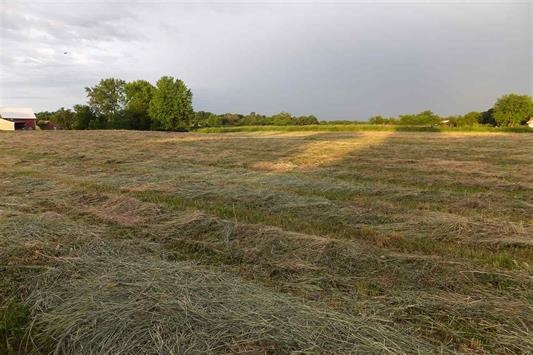 Lot 3 Coon Hunters Road Blue Grass, IA 52726 - Photo 5 of 5 Gallery Image 5