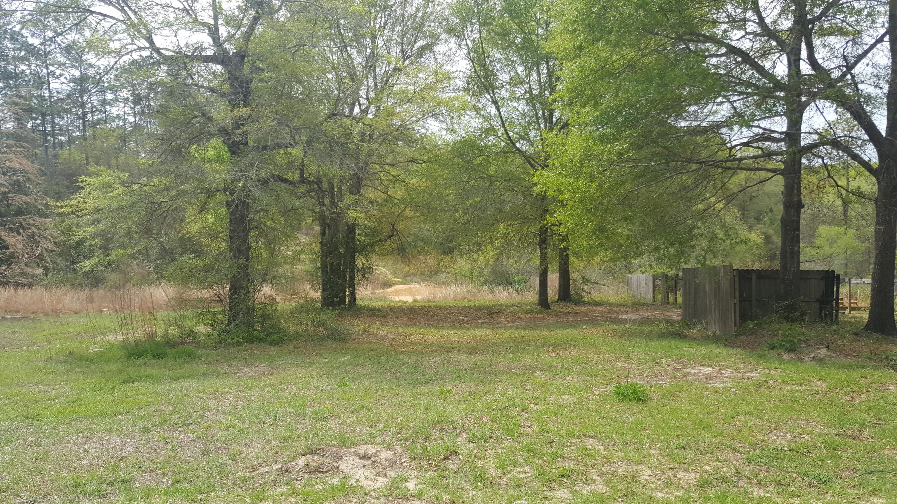 4256 Moon Road Crestview, FL 32536 - Photo 4 of 6 land 3