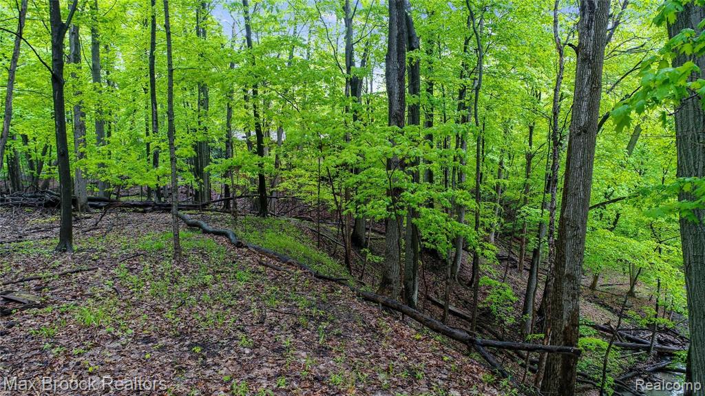 0 Quaker Valley Road Farmington, MI 48331 - Photo 4 of 5