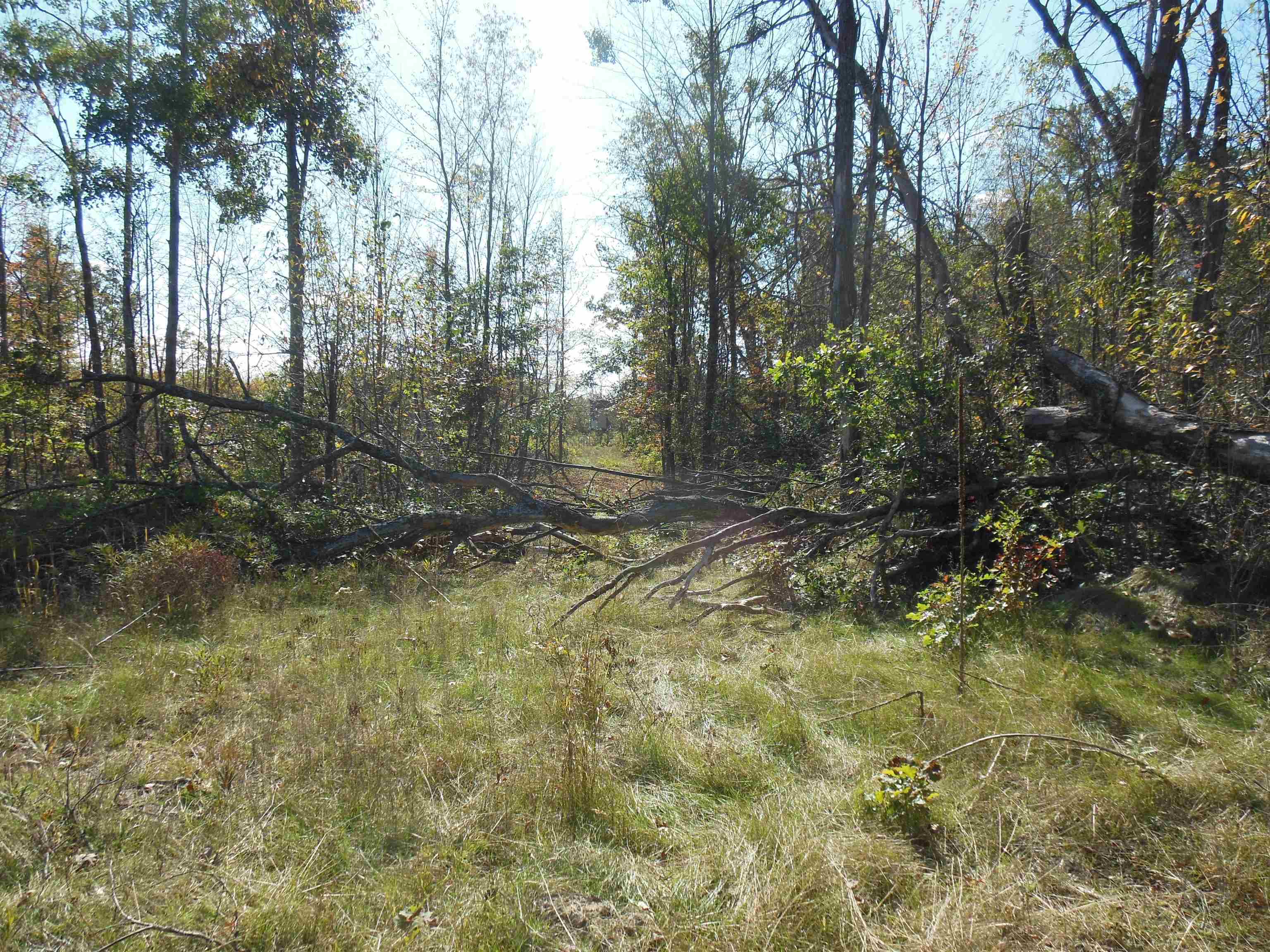 5630 Mostetler Road Harrison, MI 48625 - Photo 53 of 58
