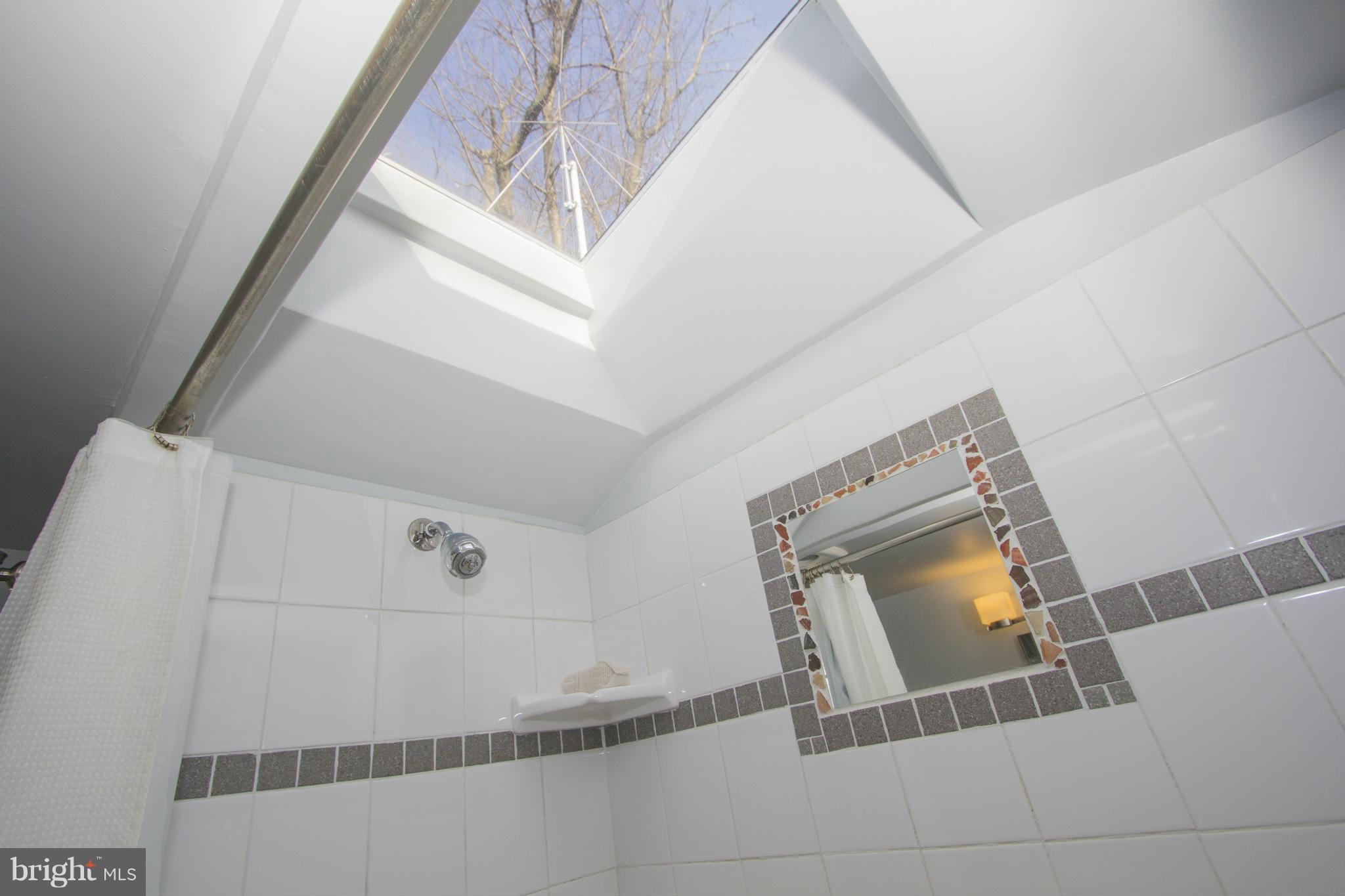5219 Goddard Road Bethesda, MD 20814 - Photo 11 of 30 Shower w/ Skylight in Master