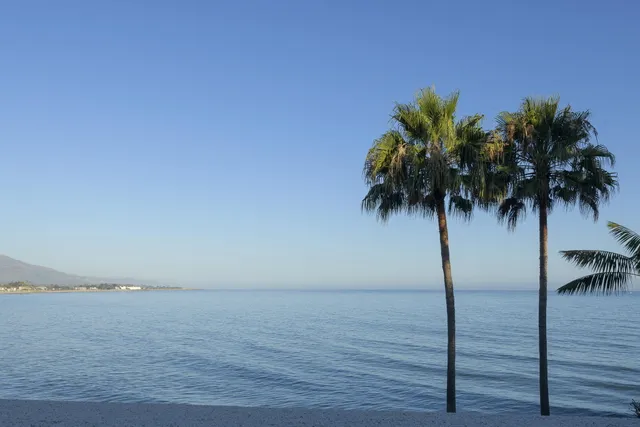 a view of beach and palm space