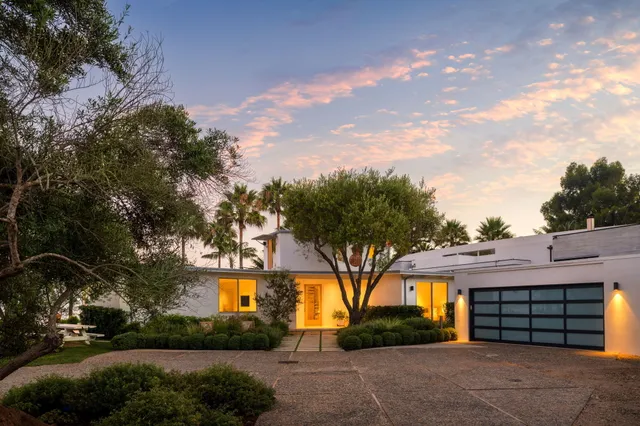 a view of a street that has a large tree