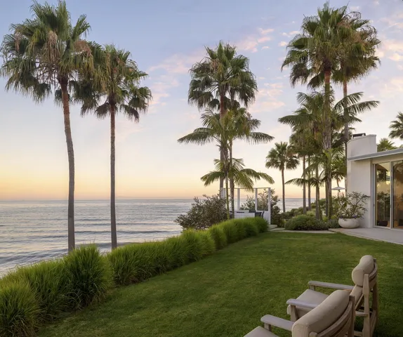 a view of a garden with a tree