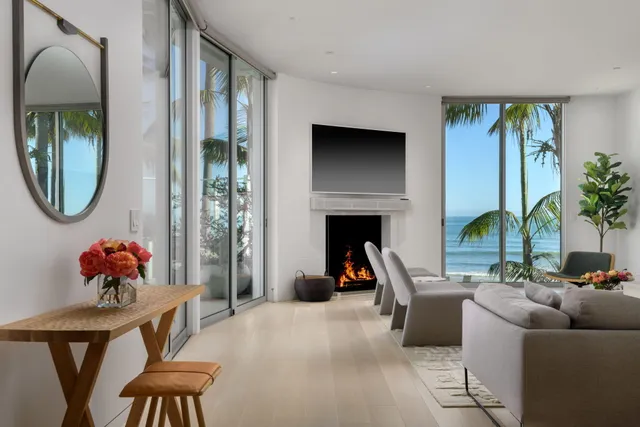 a living room with furniture a potted plant and a fireplace