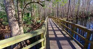 8744 Balada Drive Sebring, FL 33872 - Photo 4 of 5 a view of balcony with wooden floor and fence