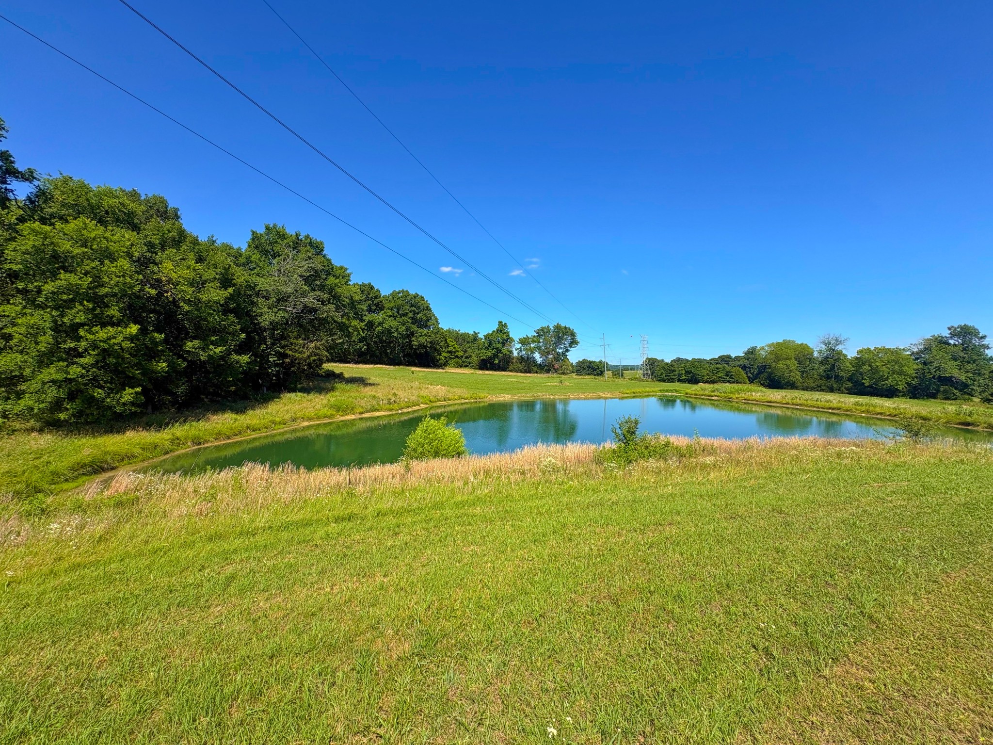 485 C Canoe Branch Road Castalian Springs, TN 37031 - Photo 5 of 13