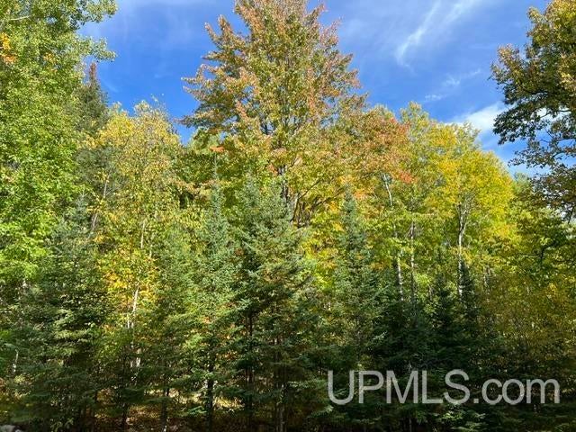 W8718 Dow Dam Road Amberg, WI 54102 - Photo 42 of 52 Gallery Image 42