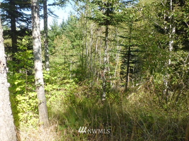 250 Penning Road Chehalis, WA 98532 - Photo 4 of 15