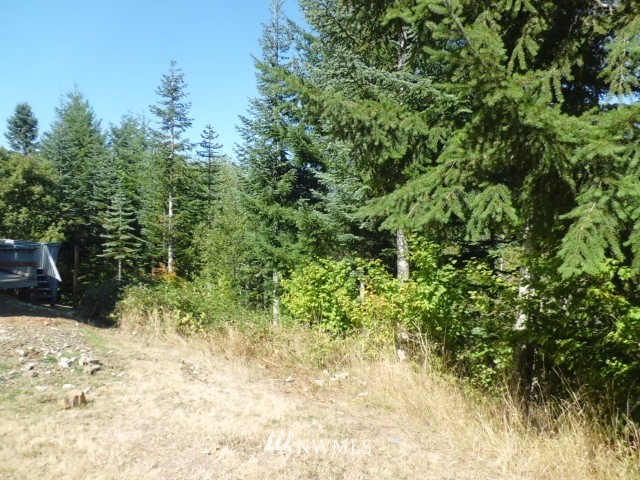 250 Penning Road Chehalis, WA 98532 - Photo 5 of 15