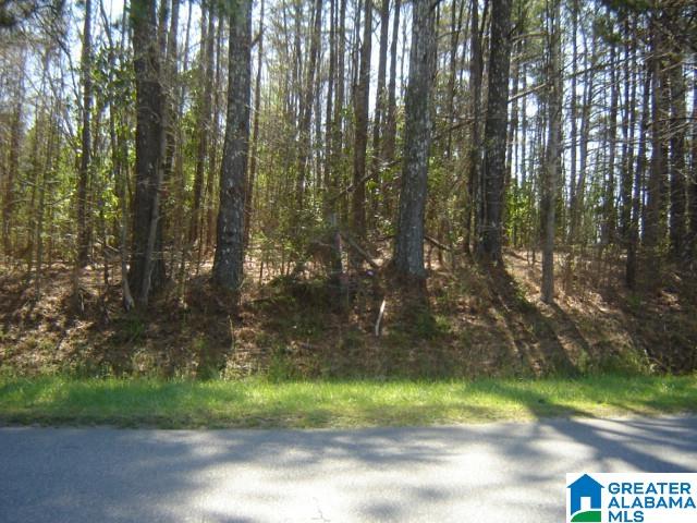 0 South 7th Street, Unit 1 Clanton, AL 35045 - Photo 2 of 2