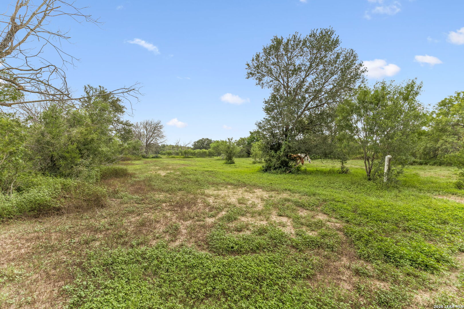 3285 Pittman Road St. Hedwig, TX 78152 - Photo 9 of 36 Gallery Image 9