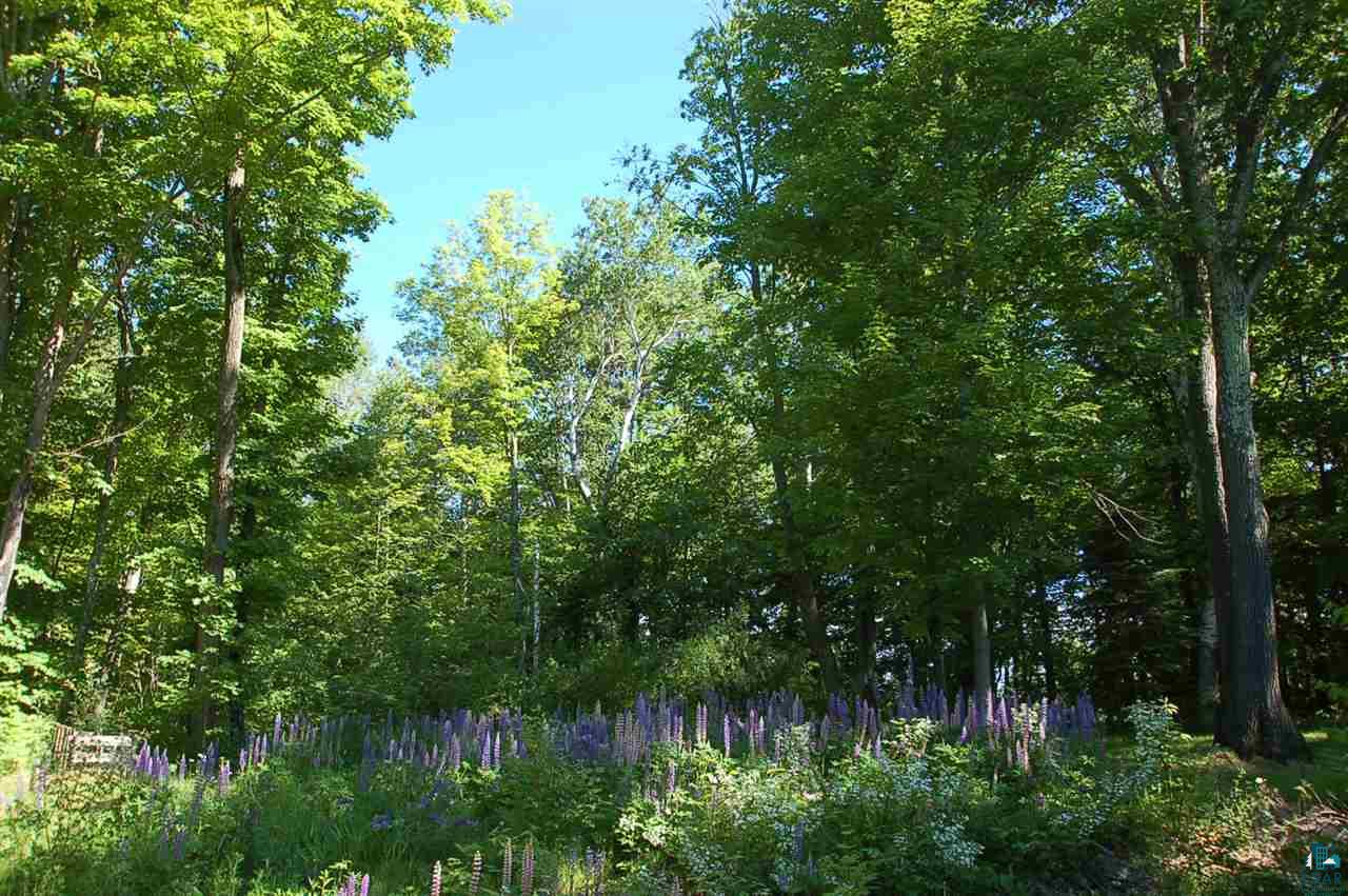 33790 Star Rte Road Bayfield, WI 54814 - Photo 17 of 48 Gallery Image 17