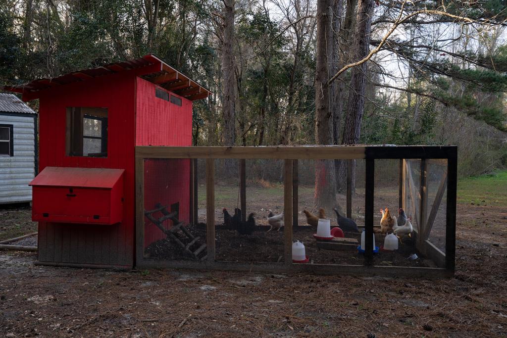 7475 Webb Road Hahira, GA 31632 - Photo 42 of 44 Gallery Image 42