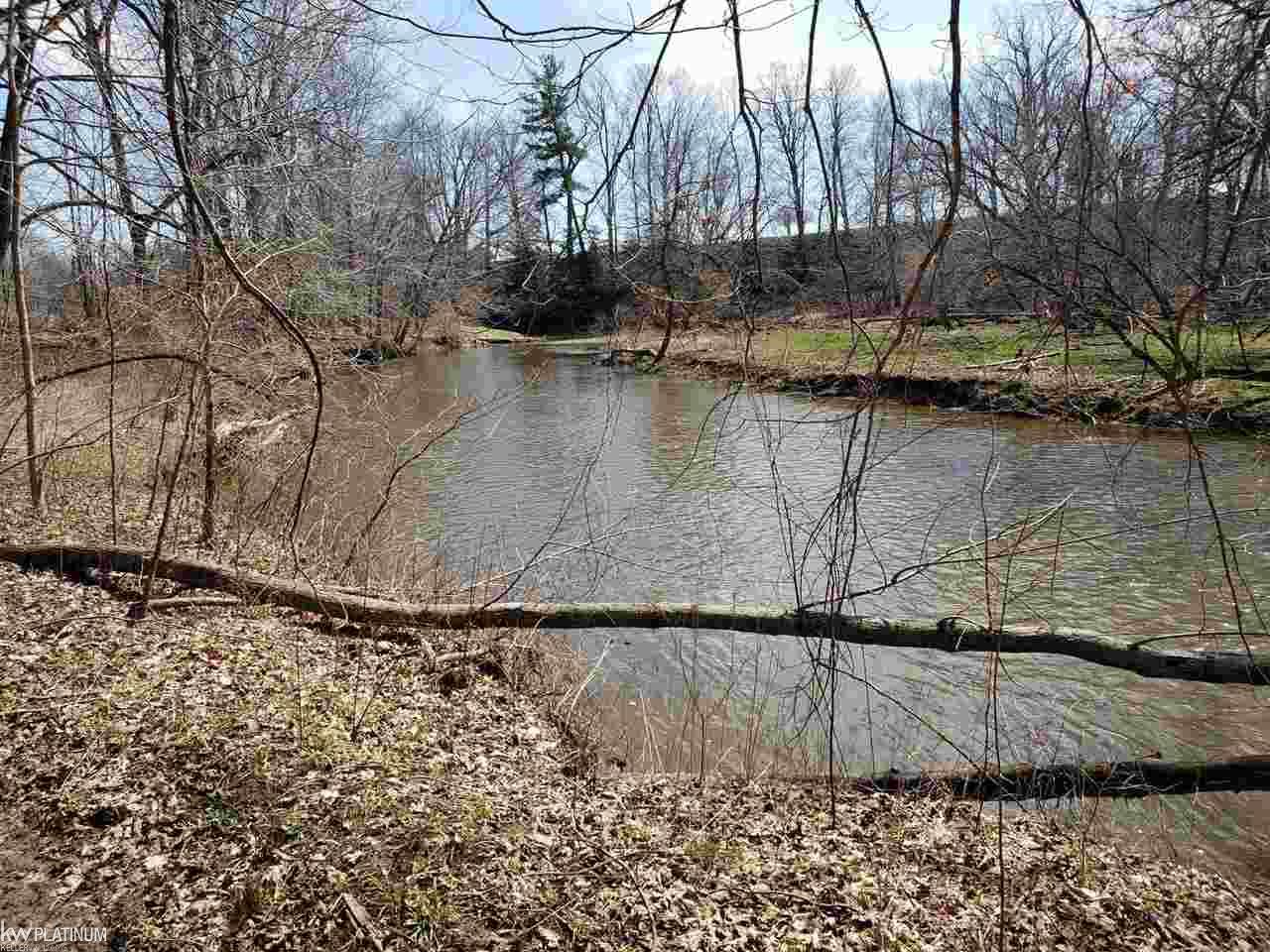 Vl Vl Brown Road, Unit CREEKS Avoca, MI 48006 - Photo 5 of 10