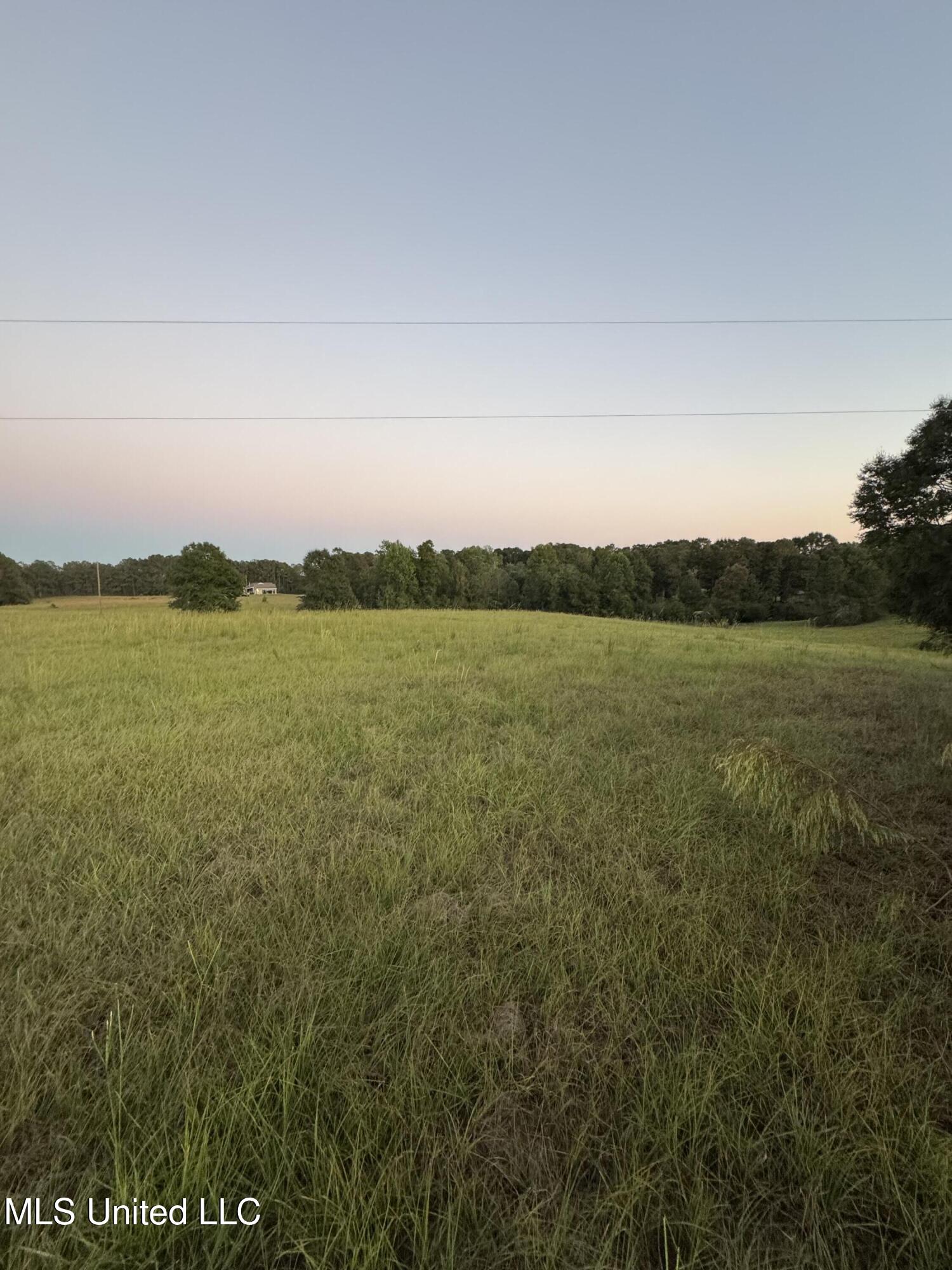 322 Highway 42 Sumrall, MS 39482 - Photo 20 of 22 Photo Oct 13 2025, 6 38 01 PM