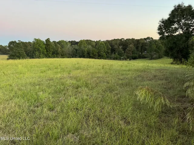$247,500 | 322 Highway 42, Sumrall, MS 39482