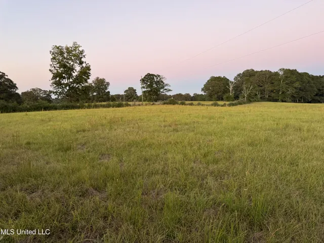 $247,500 | 322 Highway 42, Sumrall, MS 39482
