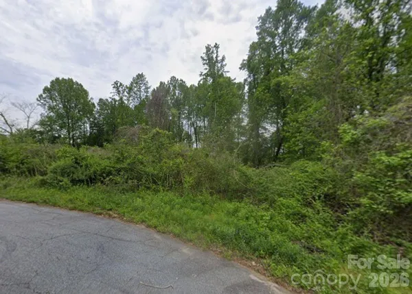 a view of a forest with trees in front of it