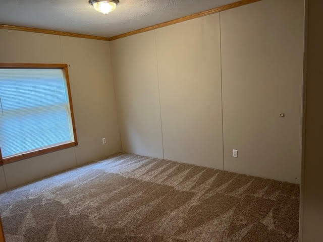 9733 Snow Hill Road Ooltewah, TN 37363 - Photo 12 of 16 unnamed-11