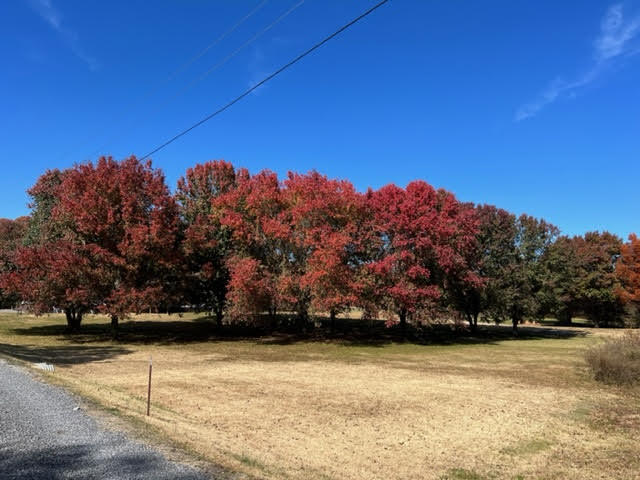 9733 Snow Hill Road Ooltewah, TN 37363 - Photo 3 of 16 unnamed