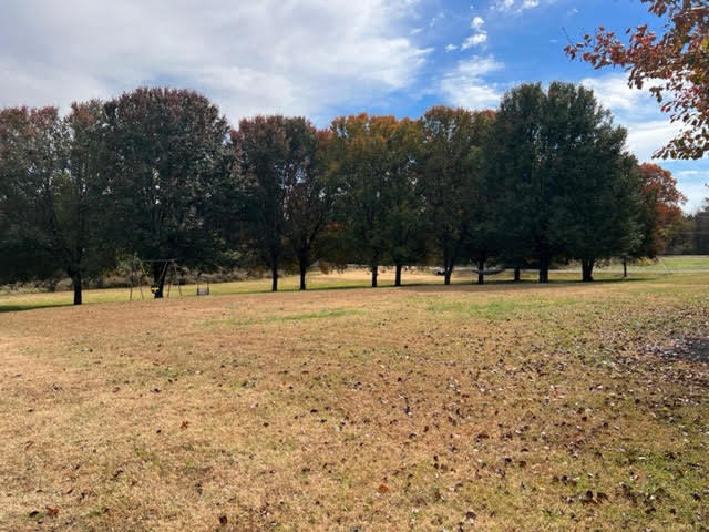 9733 Snow Hill Road Ooltewah, TN 37363 - Photo 4 of 16 unnamed-17