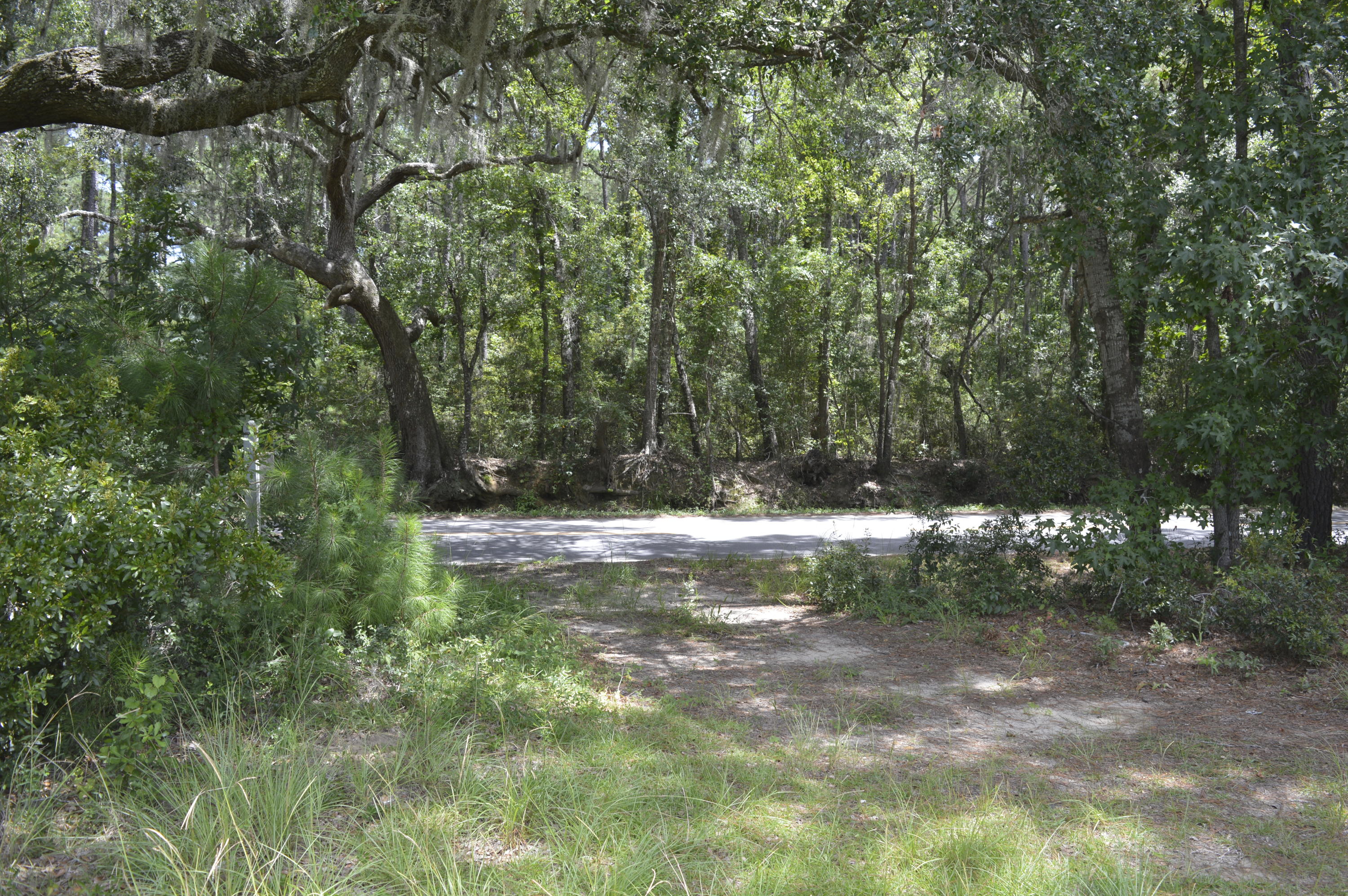 0 Abbapoola Road Johns Island, SC 29455 - Photo 1 of 12 _DSC0403