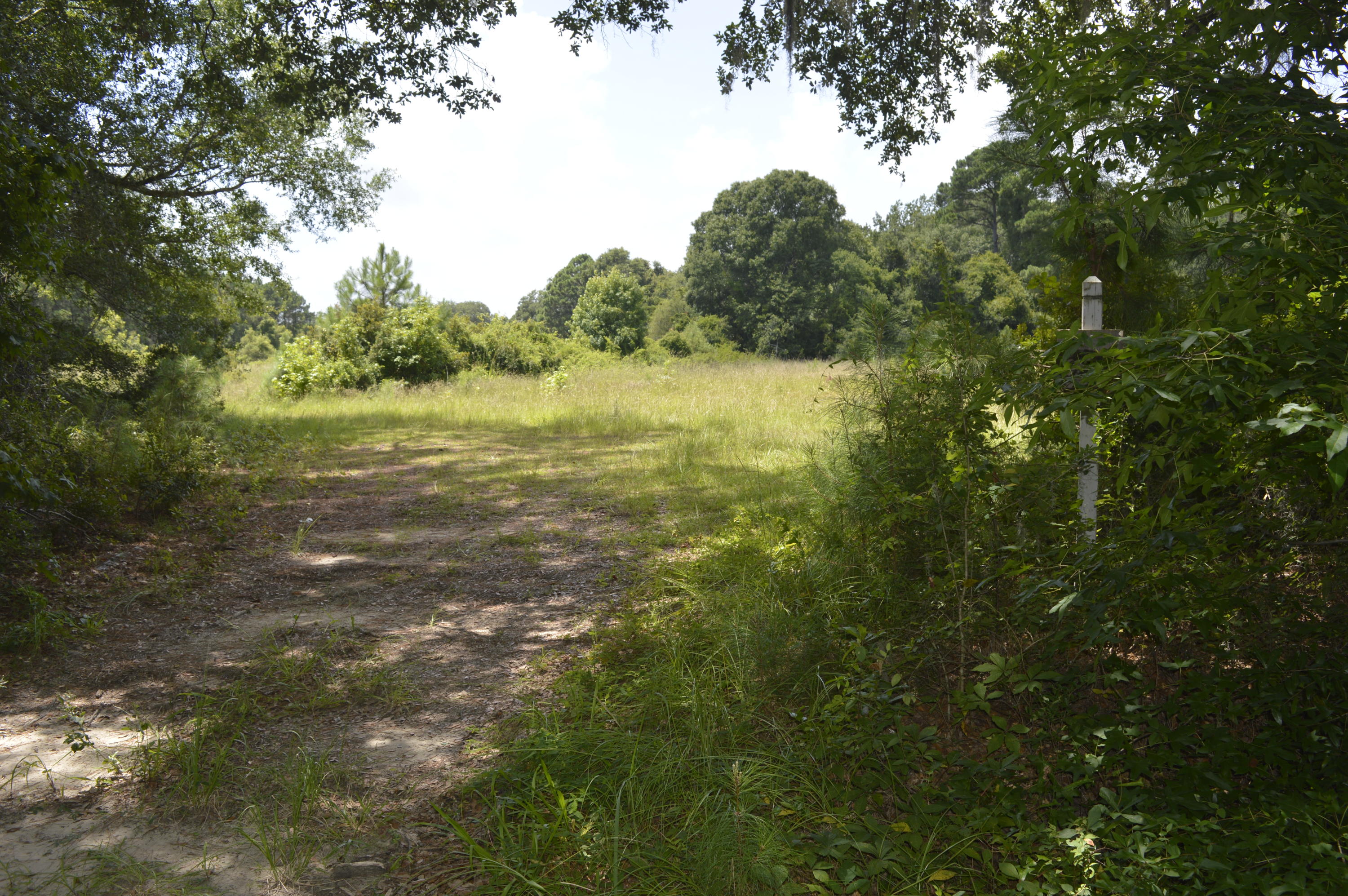 0 Abbapoola Road Johns Island, SC 29455 - Photo 2 of 12 _DSC0404