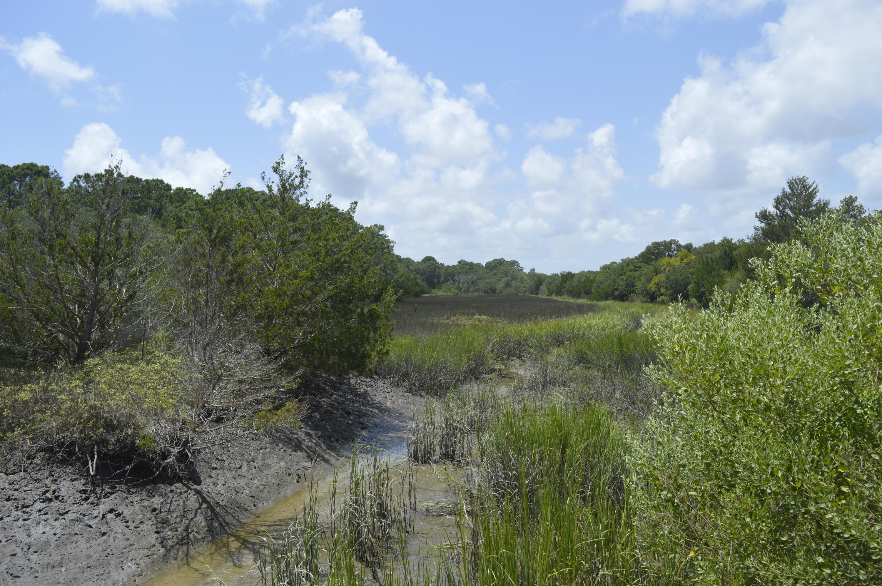 0 Abbapoola Road Johns Island, SC 29455 - Photo 12 of 12 _DSC0407