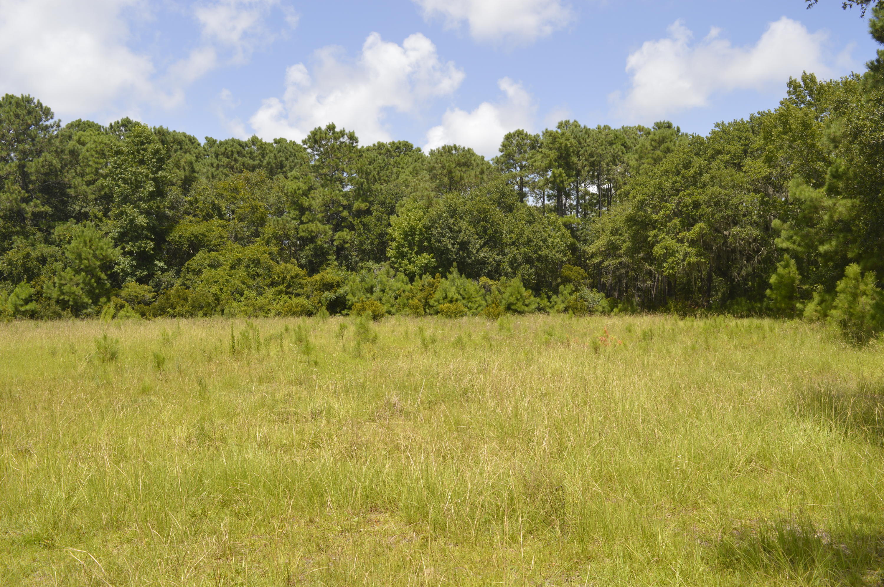 0 Abbapoola Road Johns Island, SC 29455 - Photo 5 of 12 _DSC0396
