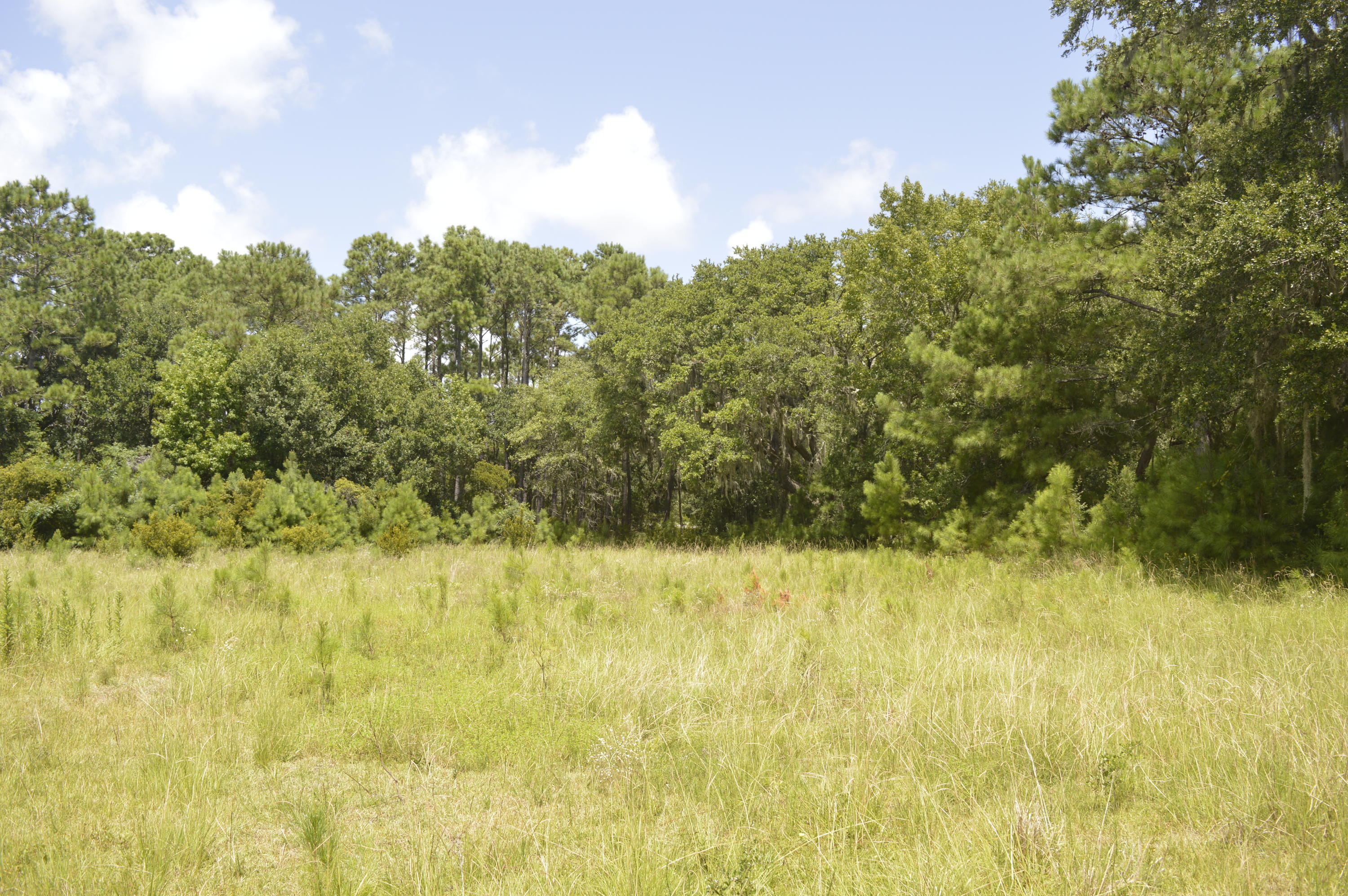 0 Abbapoola Road Johns Island, SC 29455 - Photo 6 of 12 _DSC0397