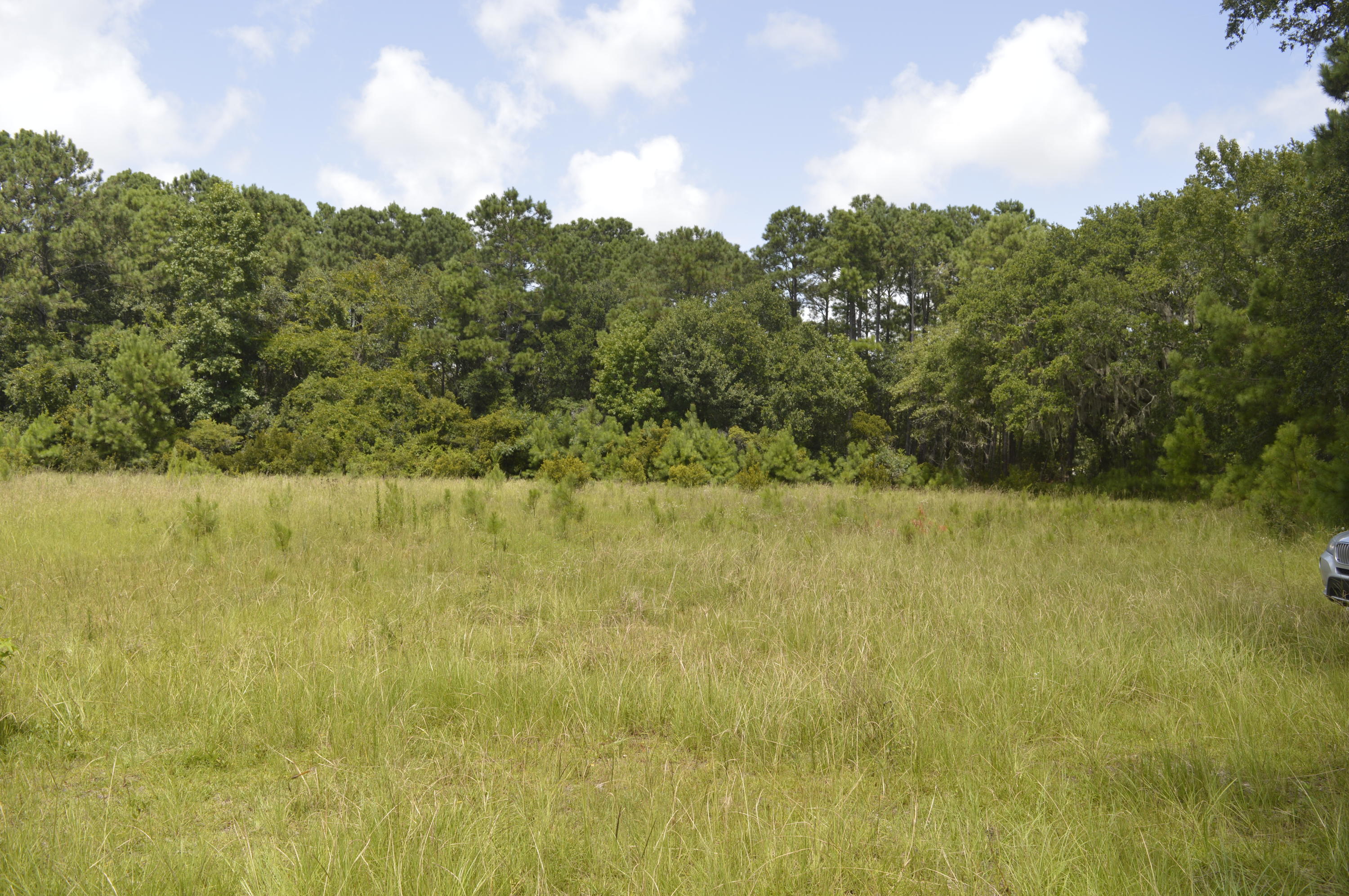 0 Abbapoola Road Johns Island, SC 29455 - Photo 9 of 12 _DSC0402