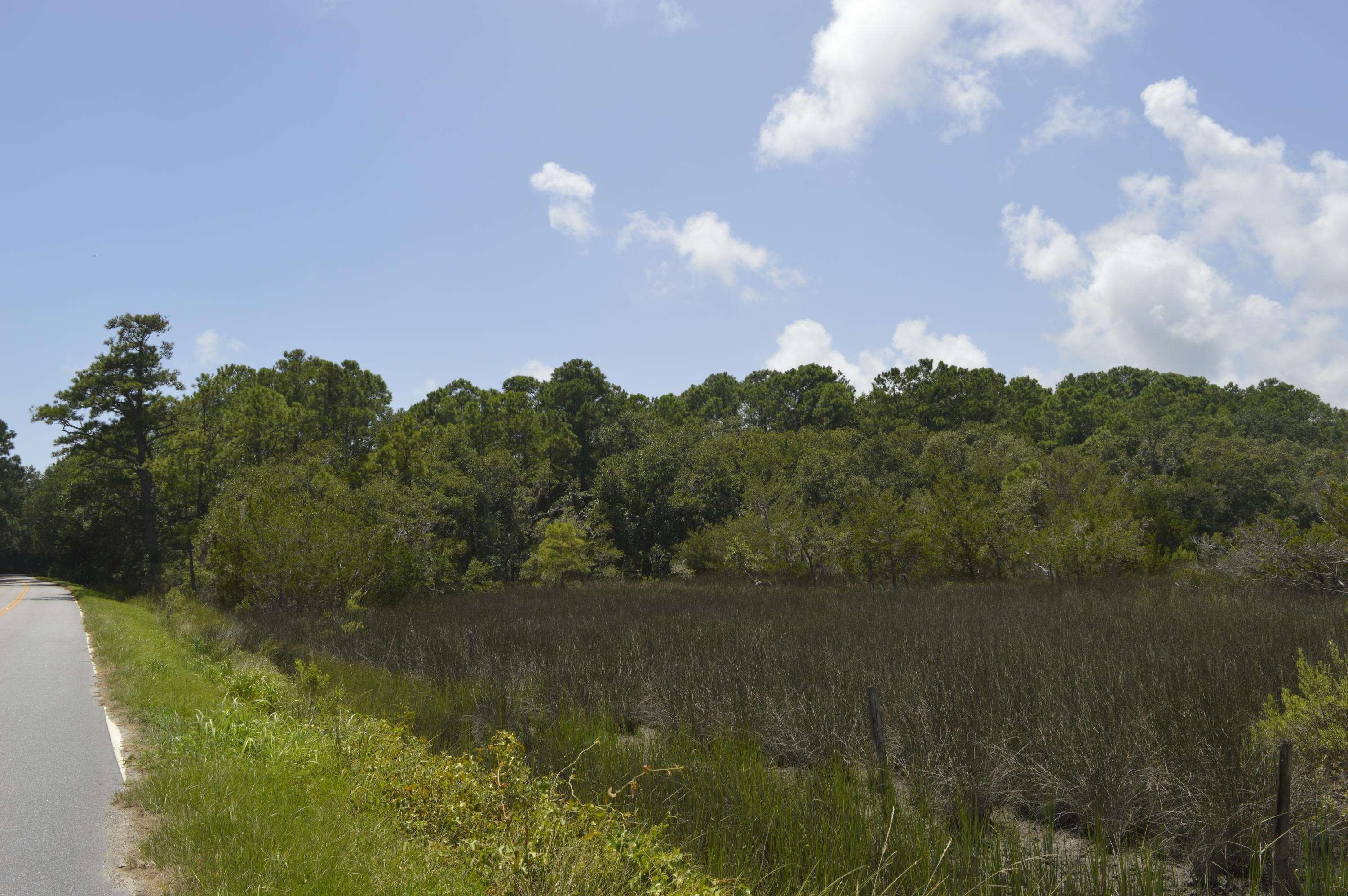 0 Abbapoola Road Johns Island, SC 29455 - Photo 10 of 12 _DSC0405